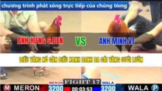 TRẬN 17 CPC1 17/3/2025 - ĐIỀU VÀNG NÓ CÀN ĐIỀU XANH BANH BA CÁI VÀNG CƯỚI LUÔN