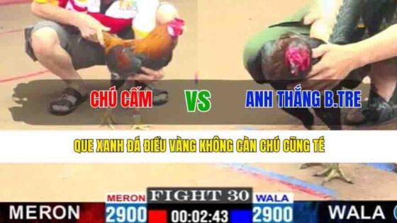 TRẬN 30 CPC1 15/3/2025 - QUE XANH ĐÁ ĐIỀU VÀNG KHÔNG CÀN CHÚ CŨNG TÉ